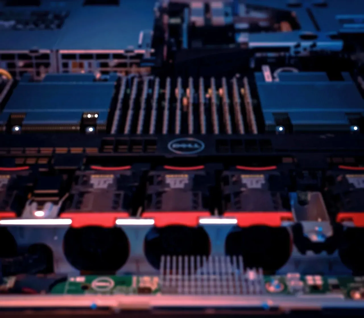 Willkommen bei Pawhost - Dein Gaming & Hosting Partner